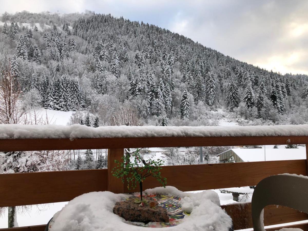 Chalet Individuel - Panoramique Montagnes & Proche Lac ลาแบรส ภายนอก รูปภาพ